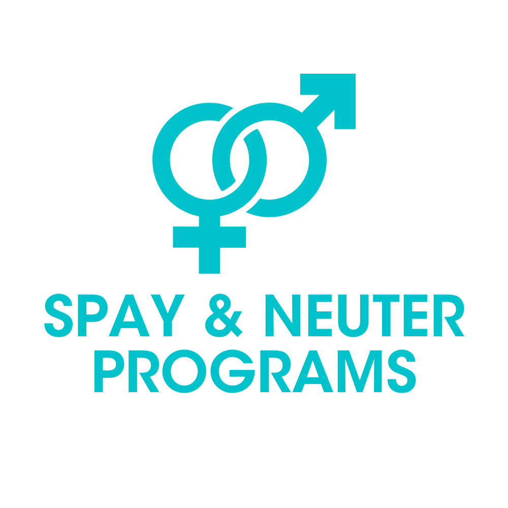 Spay and Neuter Graphic