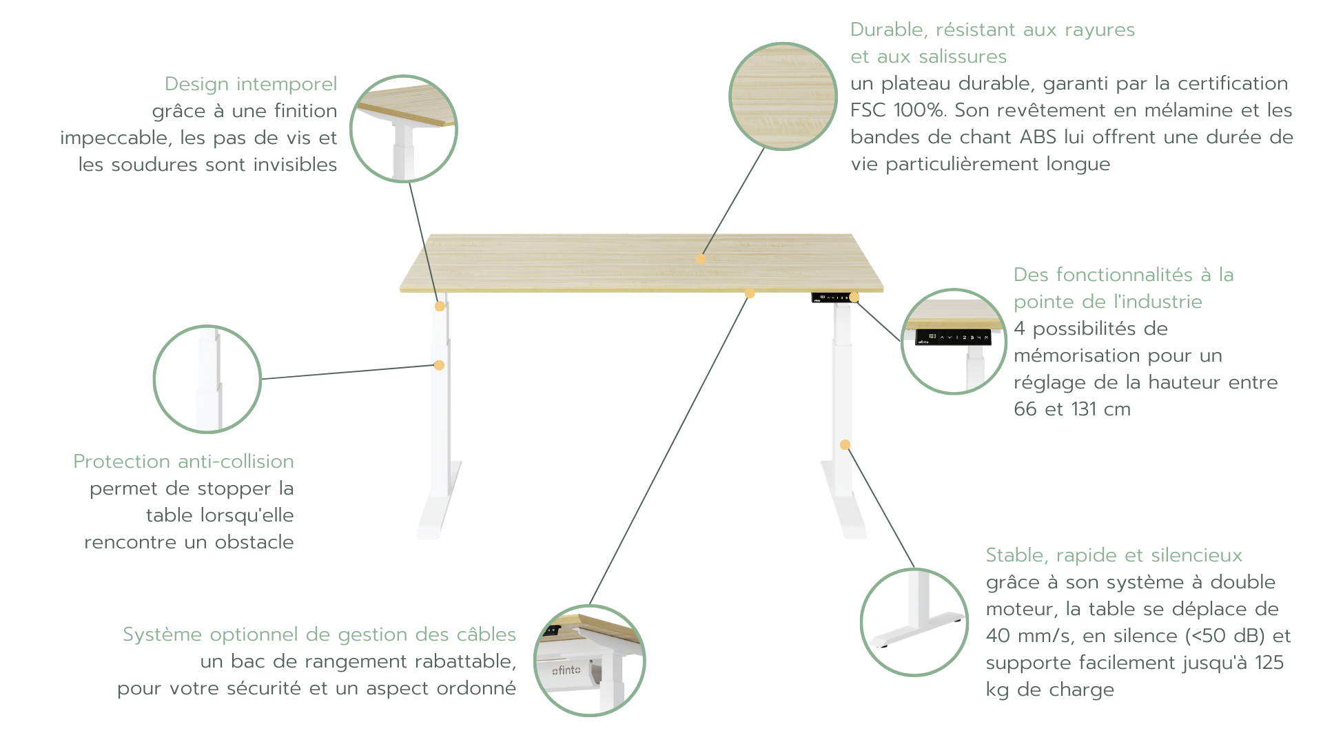 Les fonctions et caractéristiques de la table de bureau Elevate à hauteur réglable électriquement