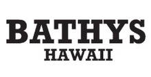 Bathys Hawaii Watch Winding Specifications: Clinks