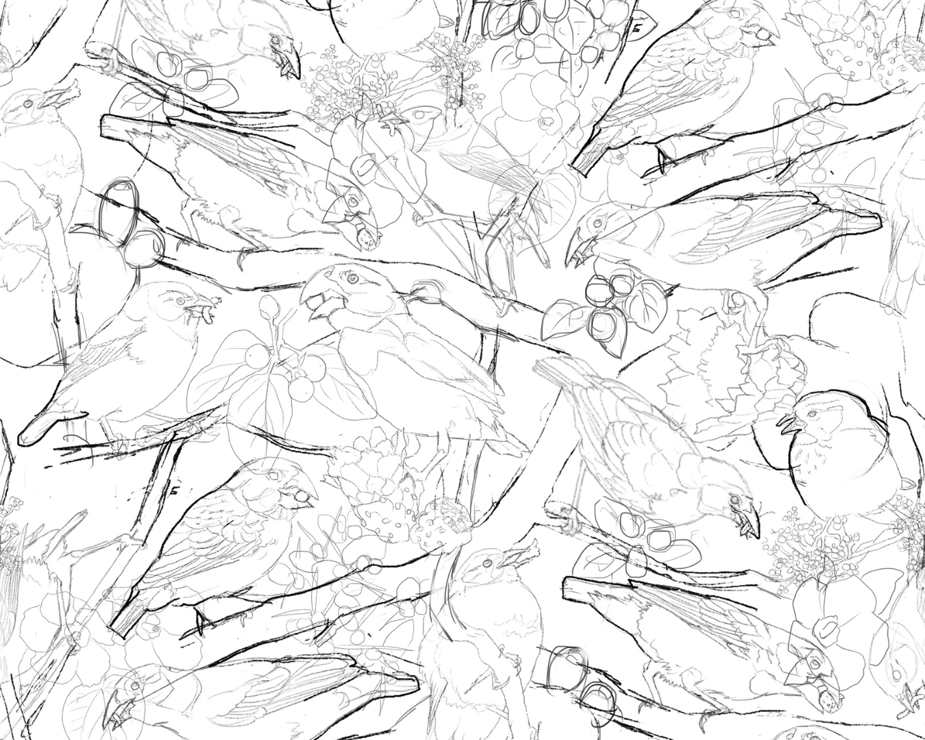 In the sketching phase of developing Cora sends us a sneak peak of her next print