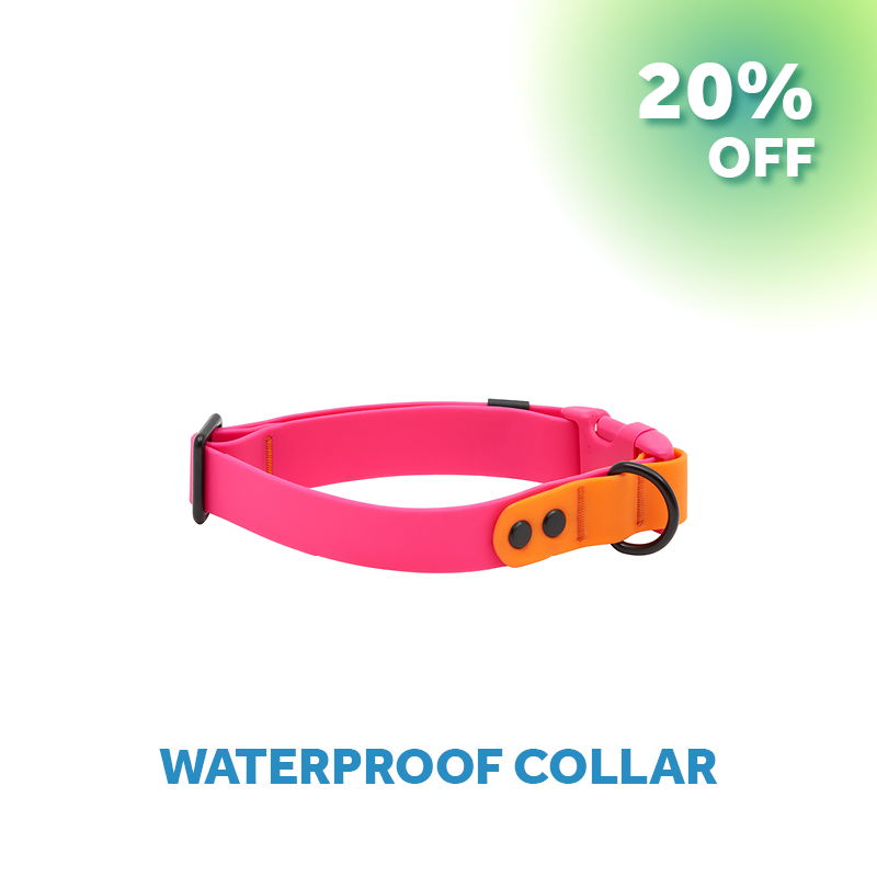 Pink waterproof collar with orange buckle, 20% off.