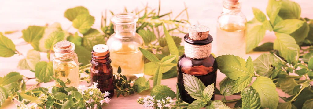 Bottles of essential oils surrounded by fresh herbs and leaves.