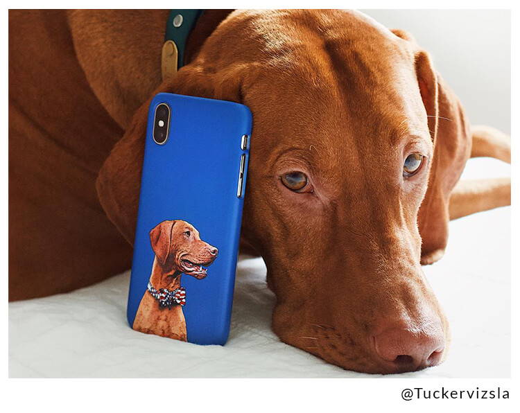 vizsla with custom phone case