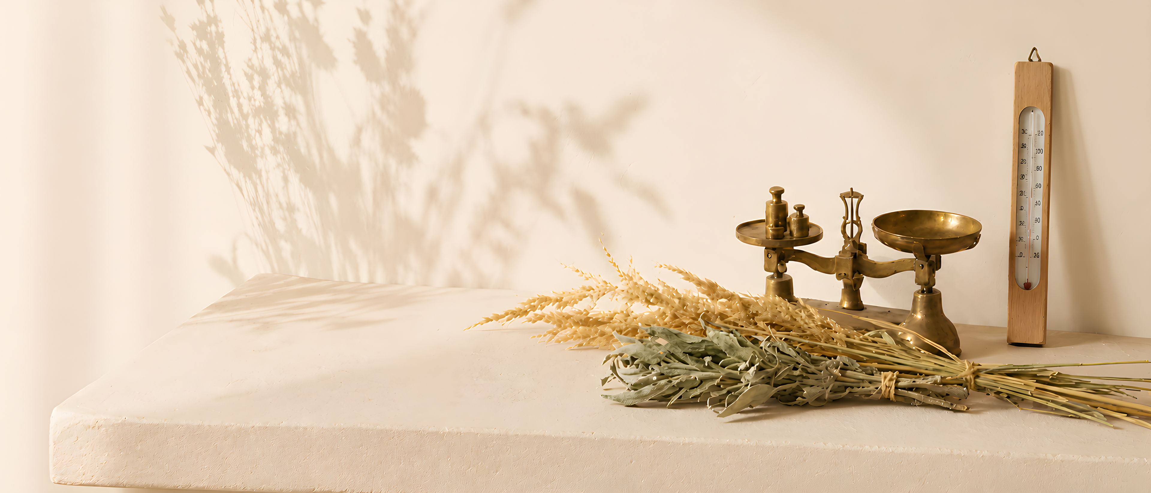 A neutral background with dried flowers and a vintage scale.
