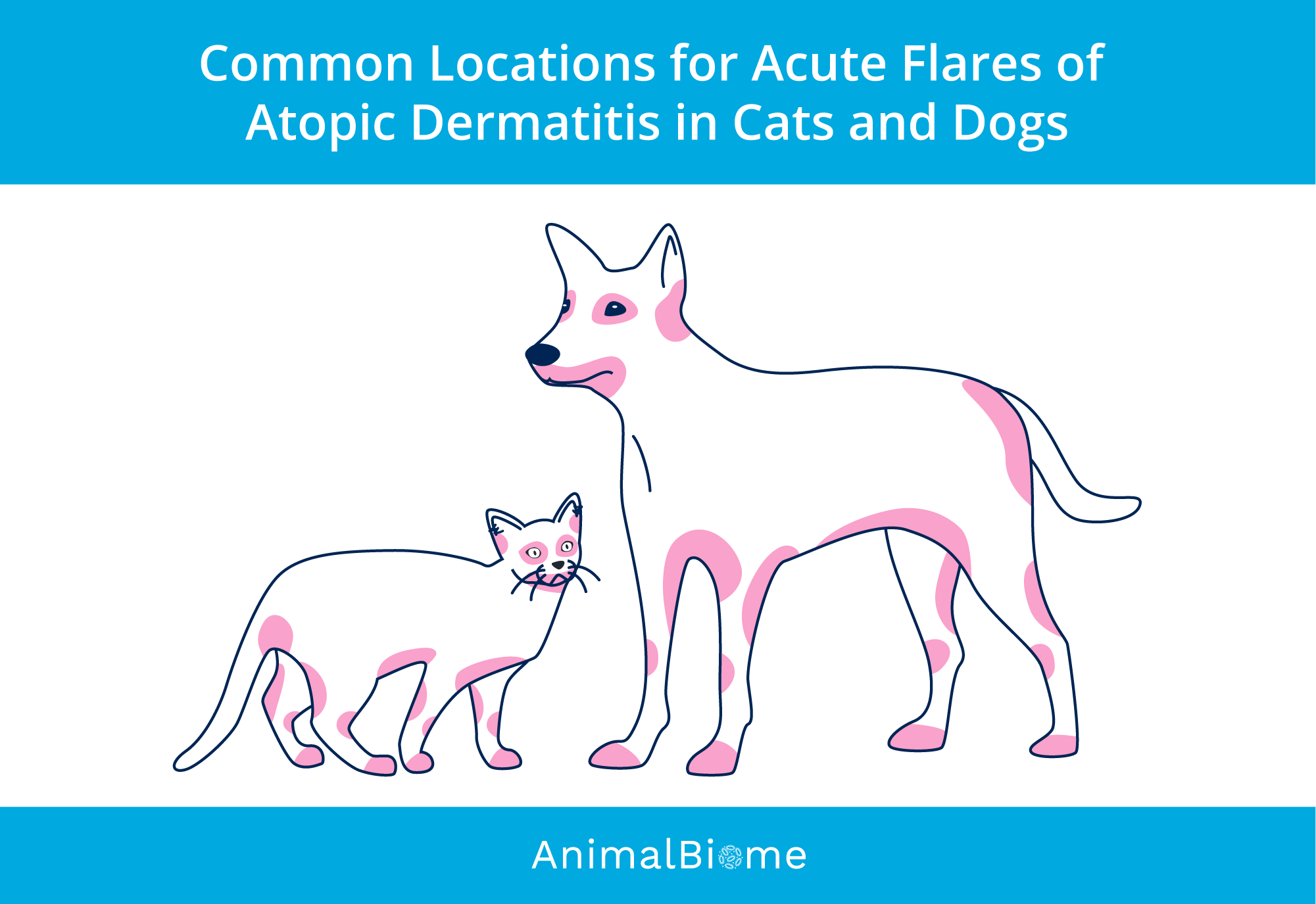 Picture of acute flares of dog atopic dermatitis and cat atopic dermatitis