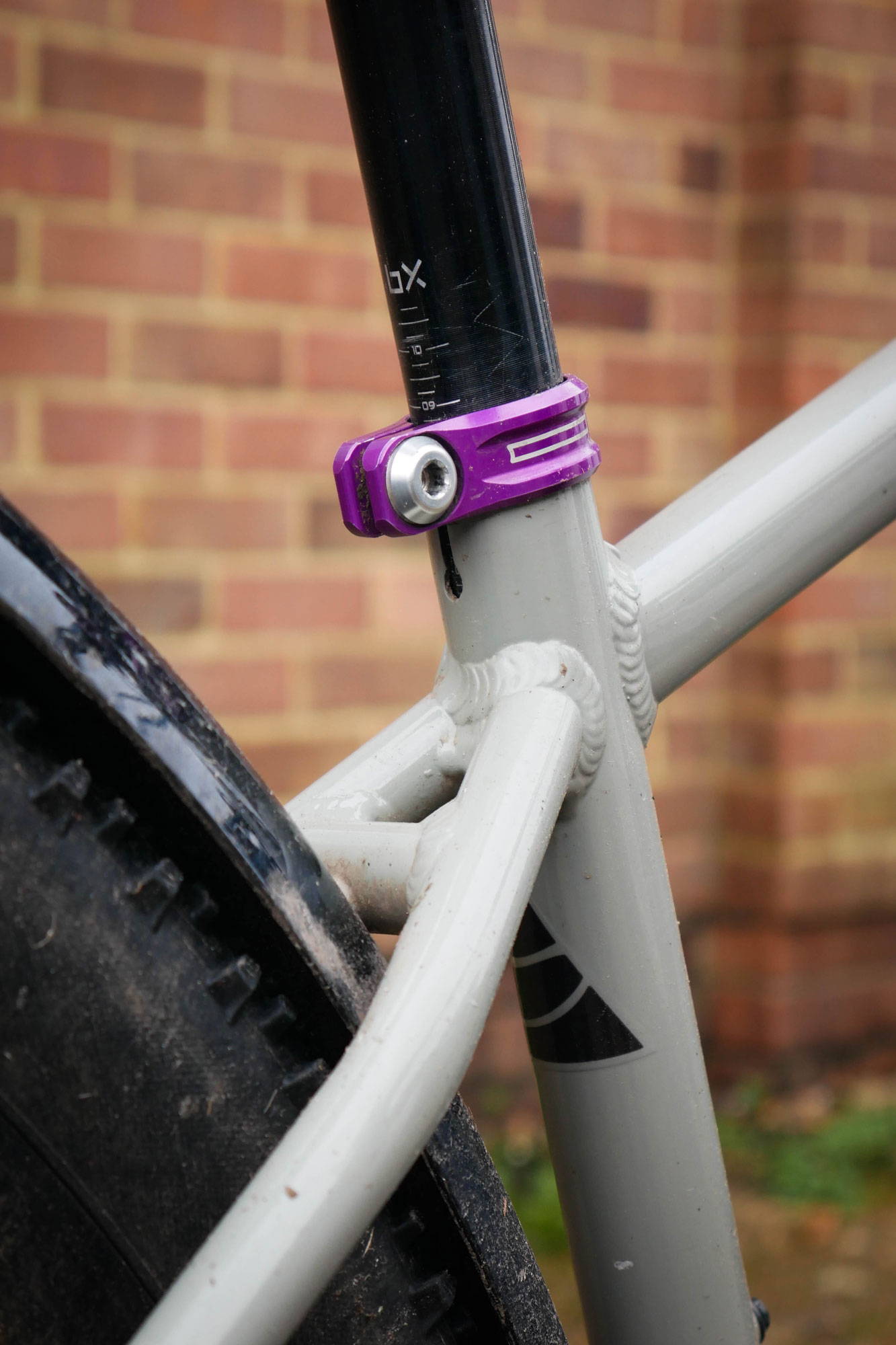 Close up of purple seat collar