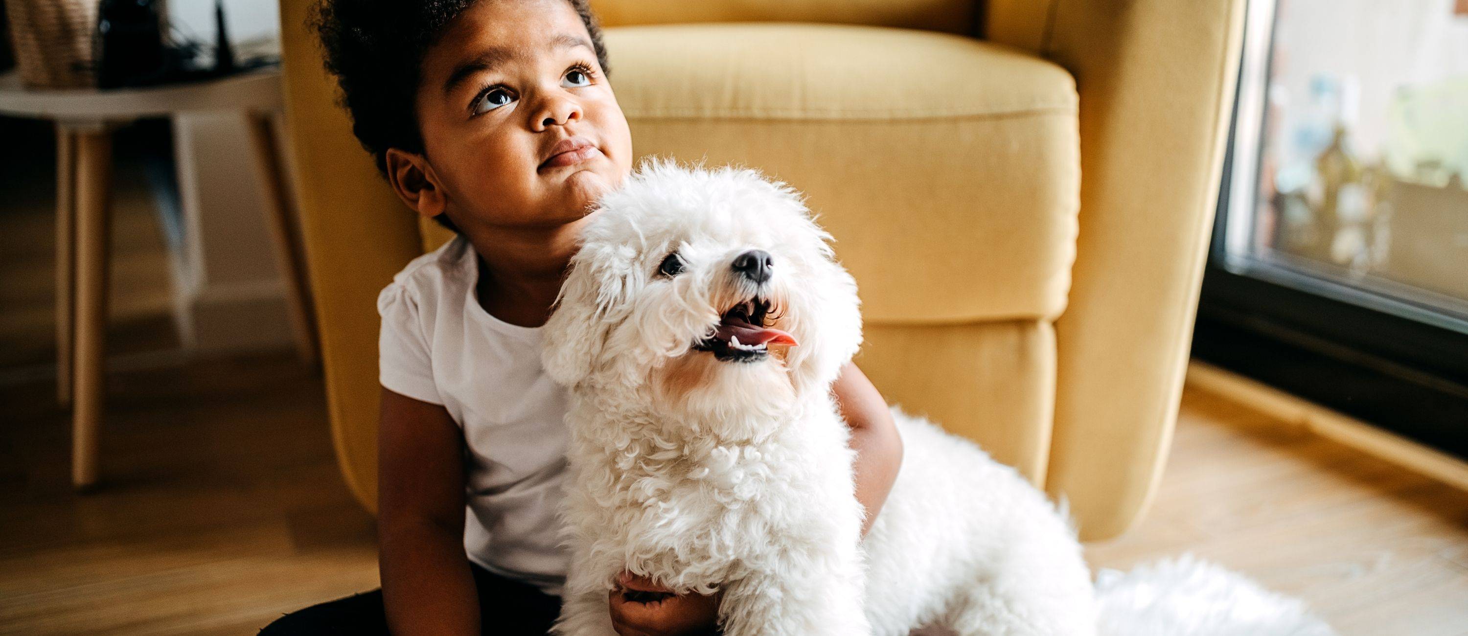 Dog Skin and Coat Supplements - Get Rid of Dog Hot Spots and Itchy Skin
