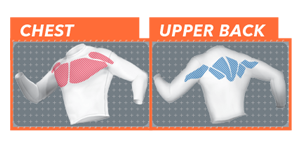 Chest and Upper Back - Muscle Activation