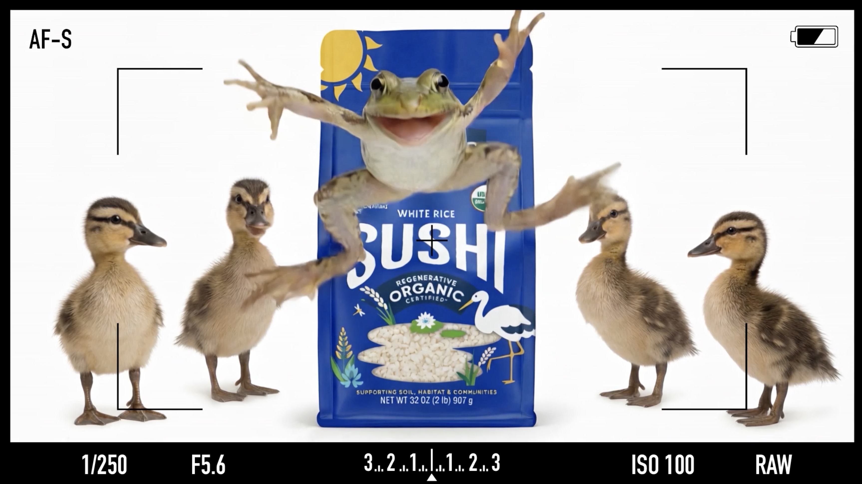 Ducking Good Rice - Jealous Critters – Lundberg Family Farms