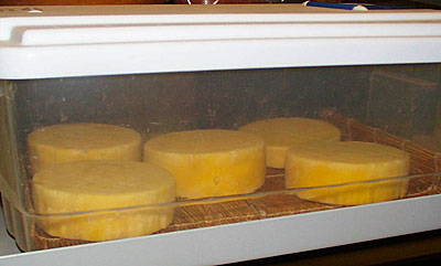 Cheese Aging Containers-Includes Draining Platform - Cheese