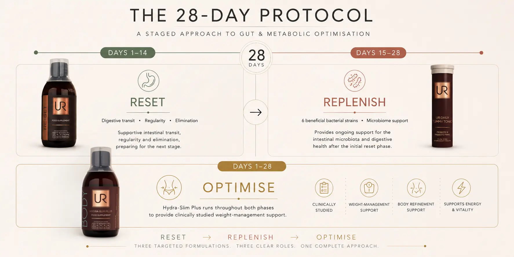 Infographic detailing a 28-day wellness protocol with product options.