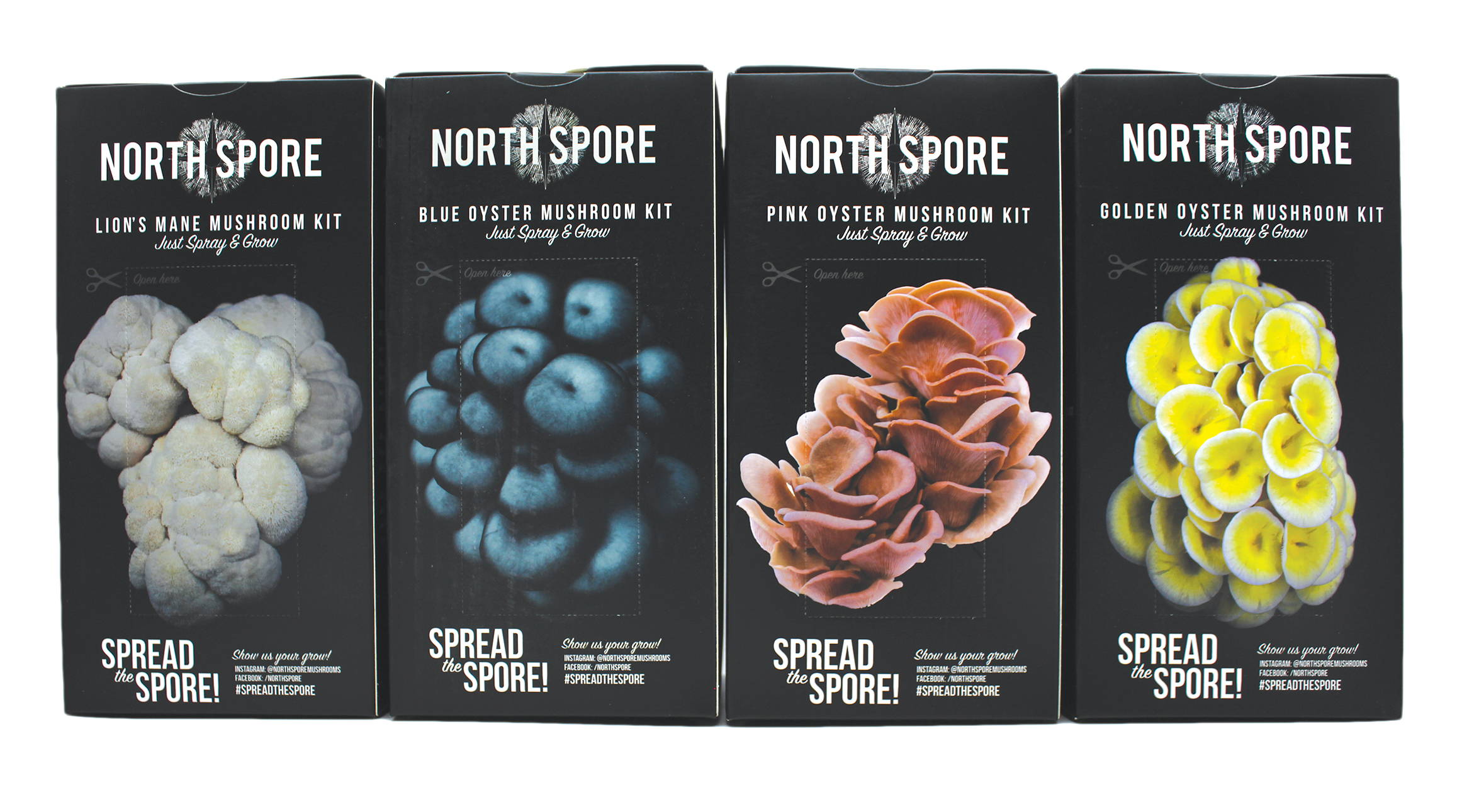 spray and grow mushroom kits