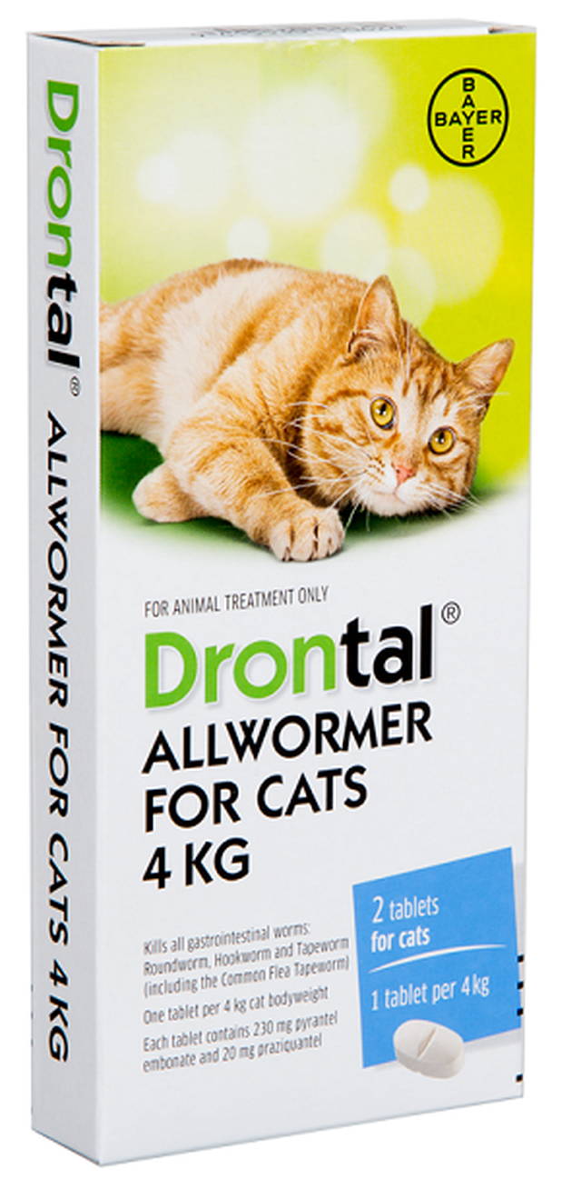Oral Treatments for Cats