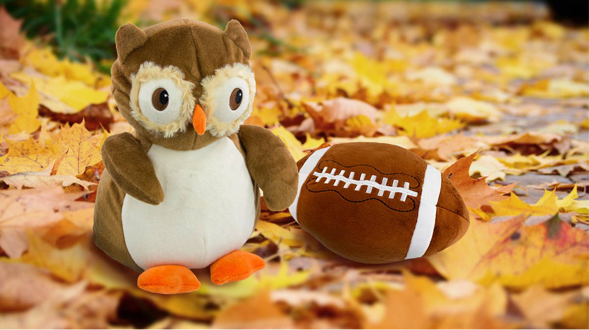 Fall Owl Buddie and Football