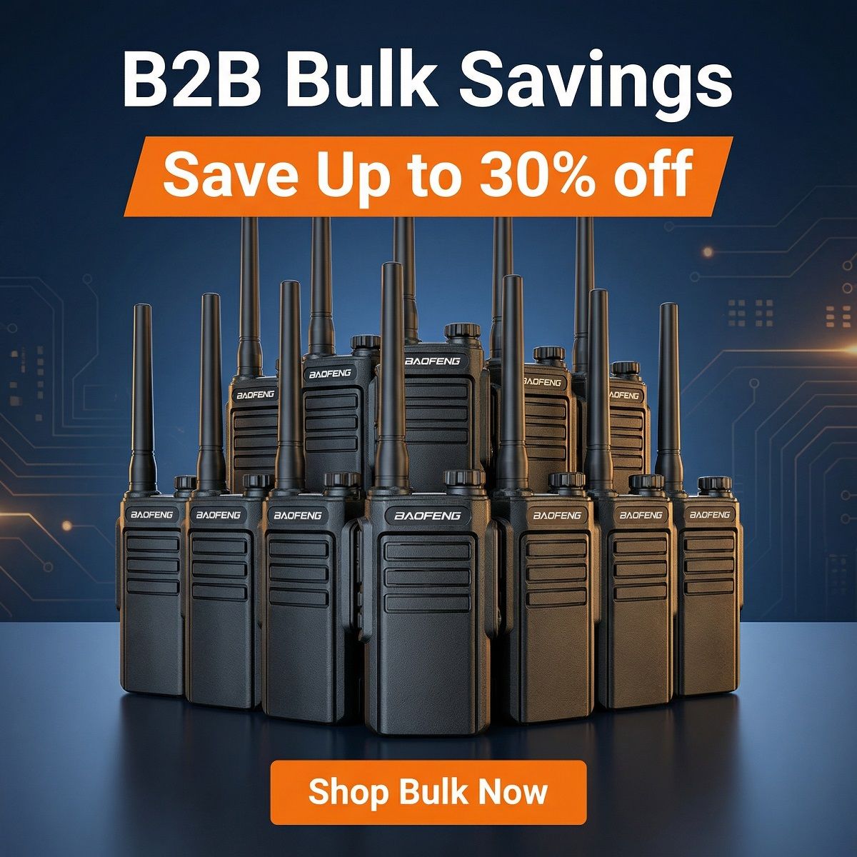 BF-W31 Walkie Talkie.png