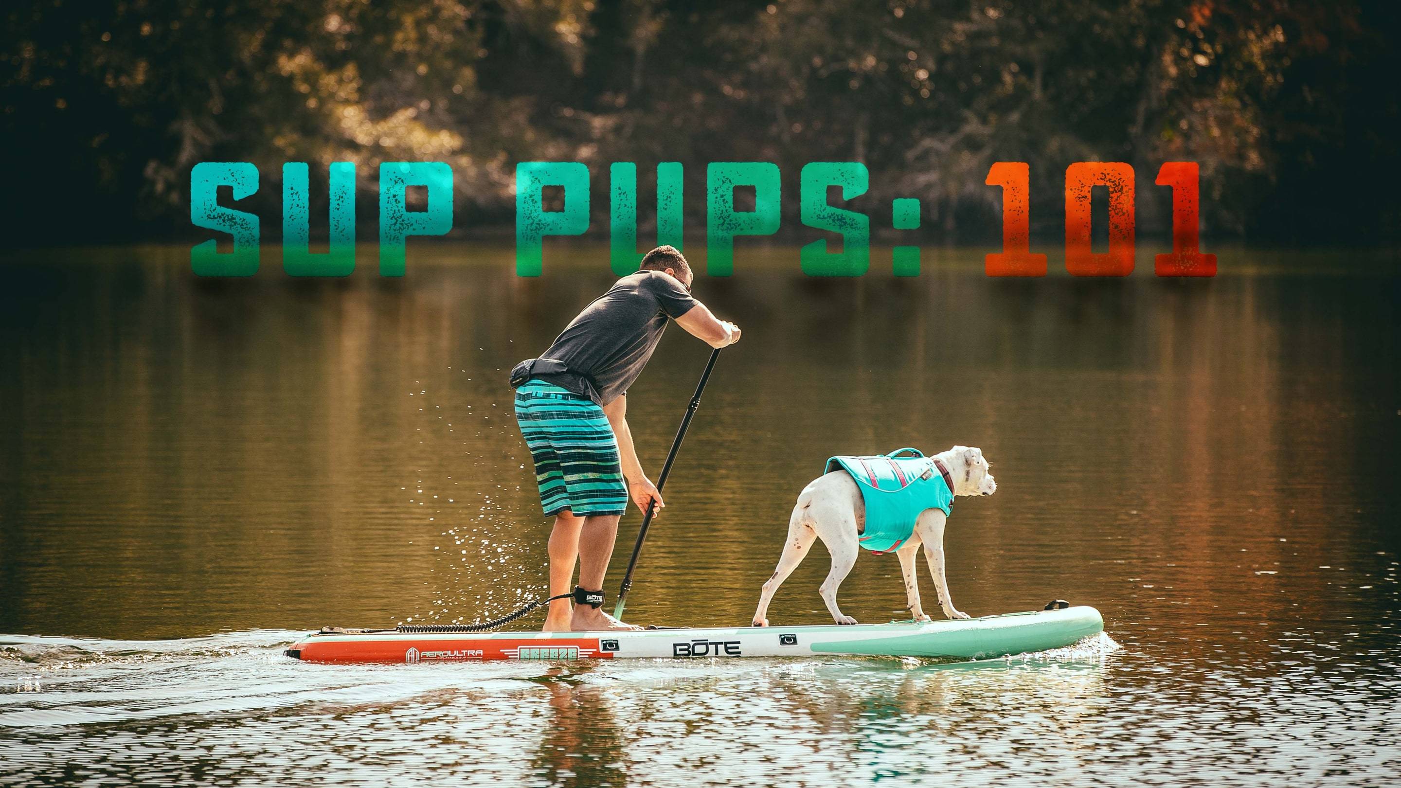 Introducing Your Dog to Stand Up Paddle Boarding