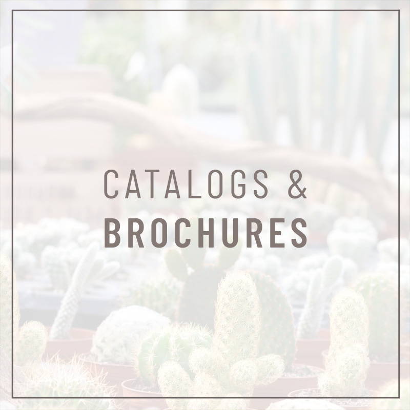 Catalogs and Brochures