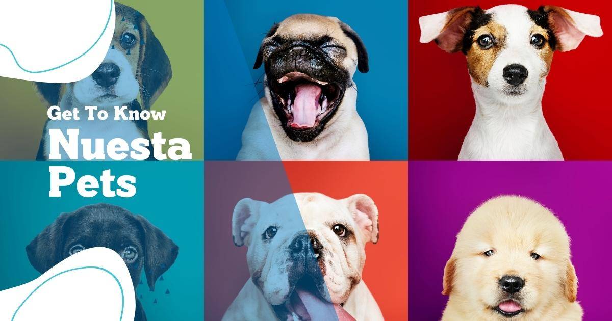 about-us-nuesta-pets