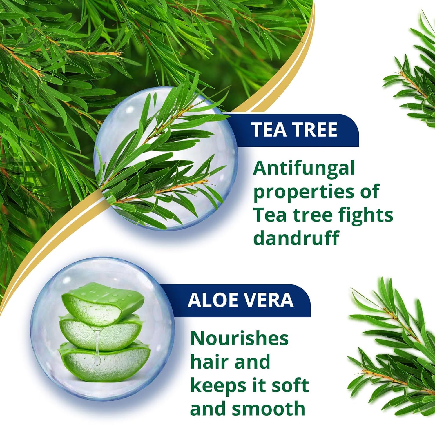 What Causes Dandruff? Symptoms, Prevention & Herbal Treatments