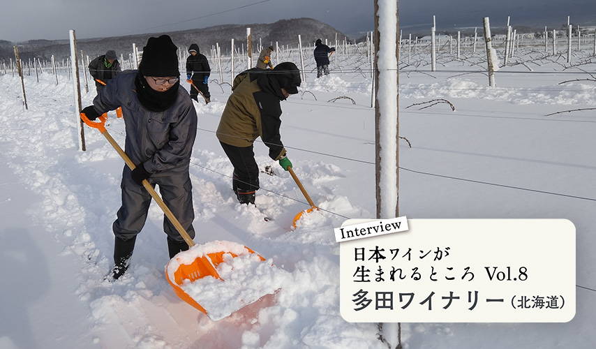 シリーズ・日本ワインが生まれるところ 。北海道『多田ワイナリー』に