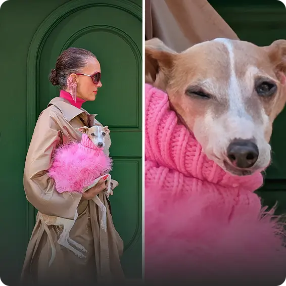 Woman in a coat holding a dog in a pink sweater against a green background.