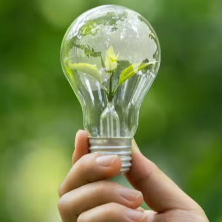 Hand holding a light bulb with plants inside against a green background.