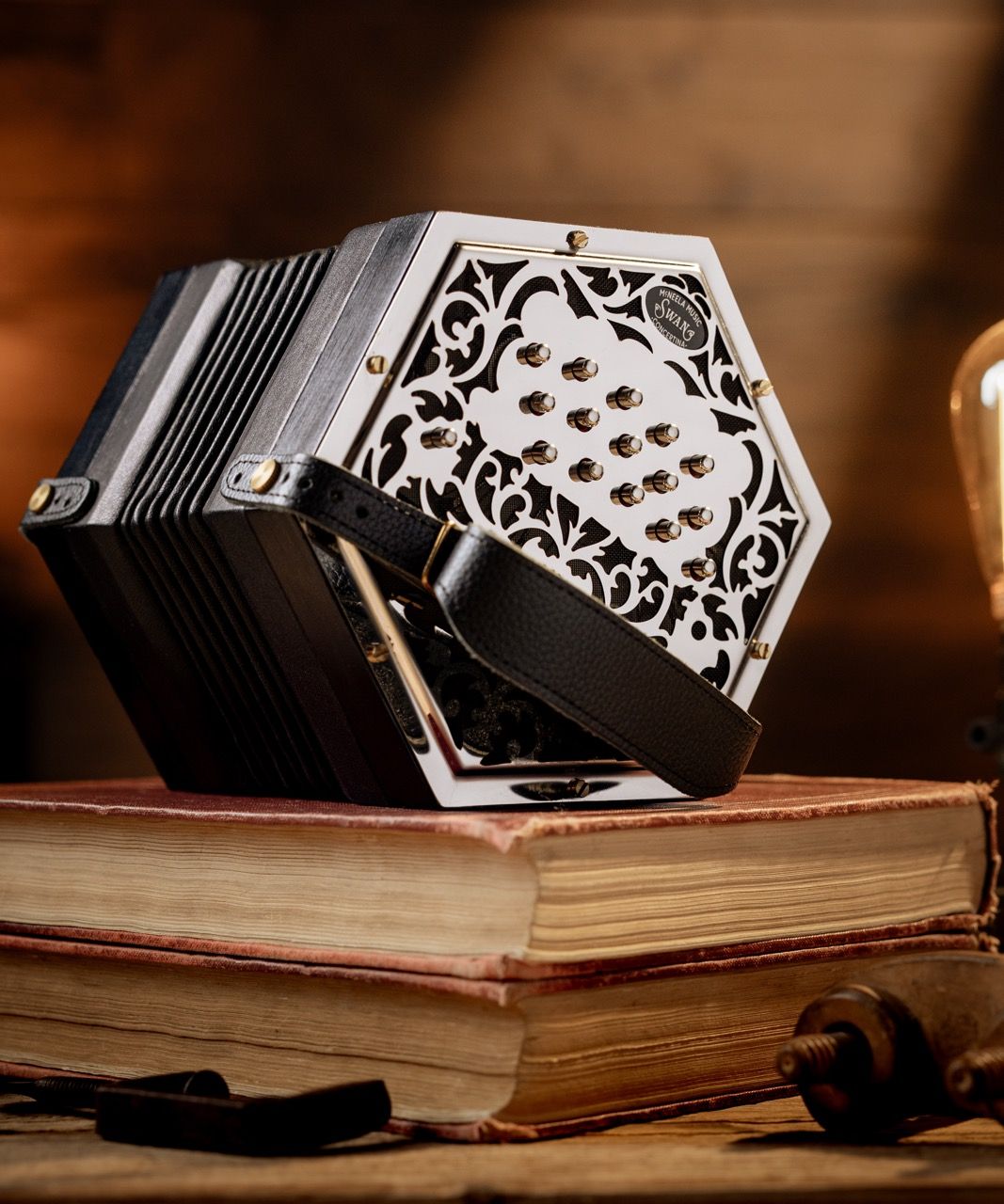 Swan Deluxe Concertina on a stack of books