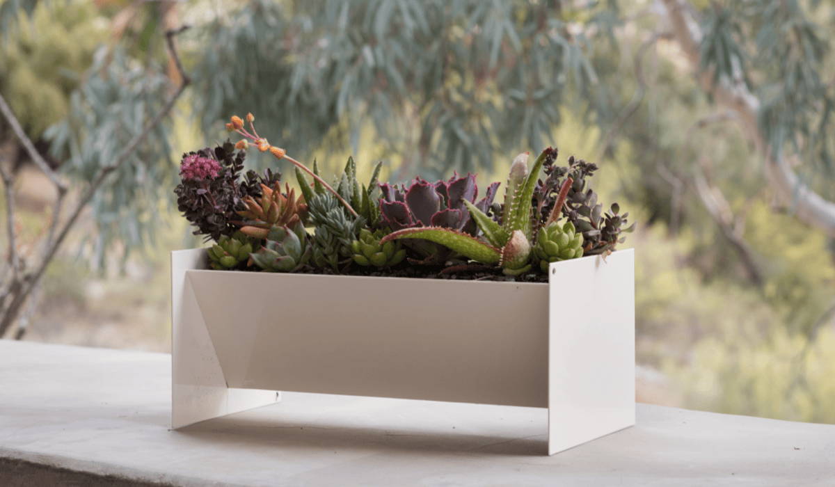 A modern rectangular planter with succulents.