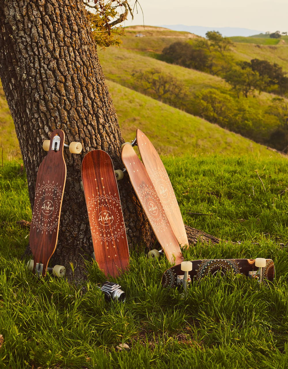 Solstice Collection - Skateboards