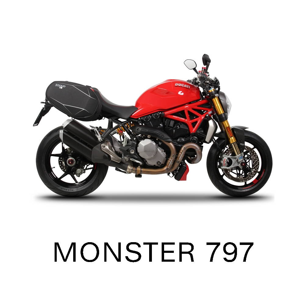 Monster 797