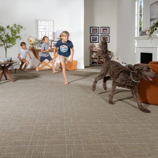 mohawk smartstrand carpet