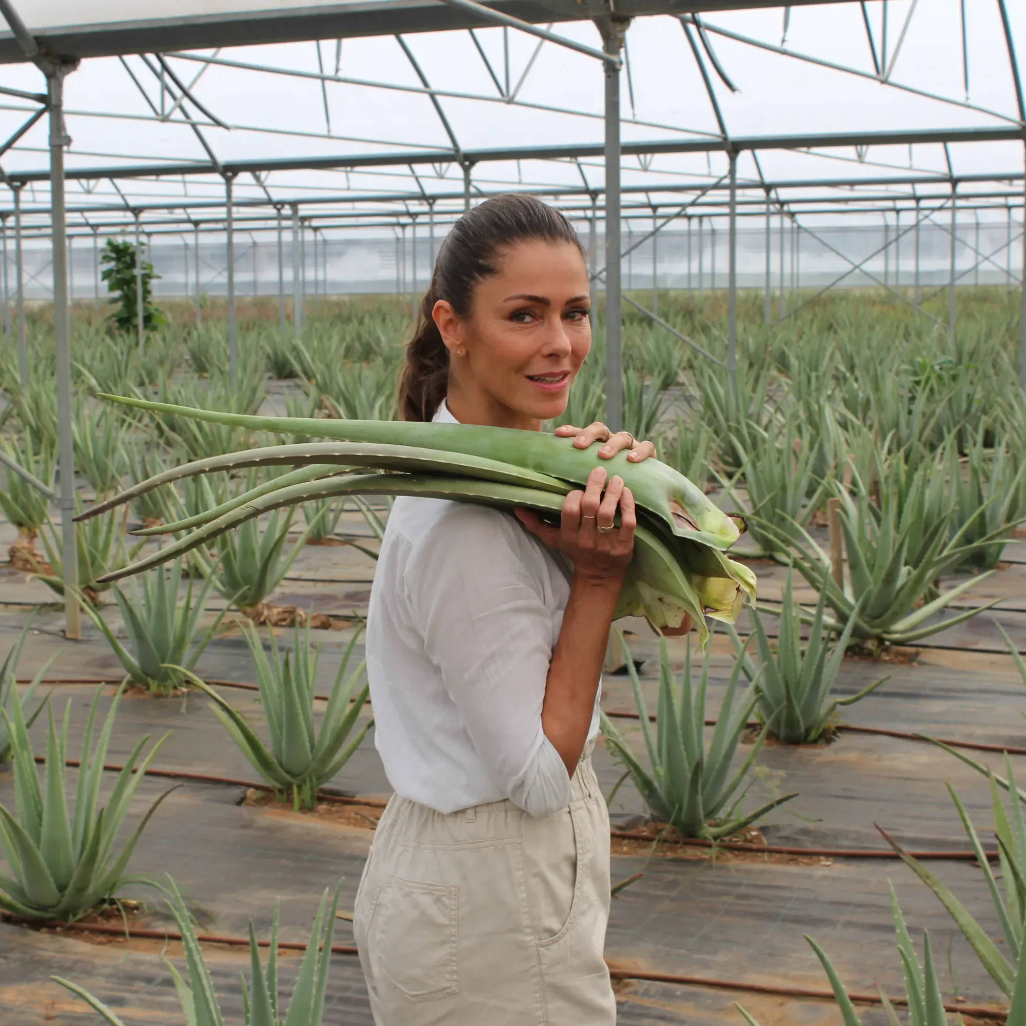Woman holding aloe vera plants in a greenhouse.