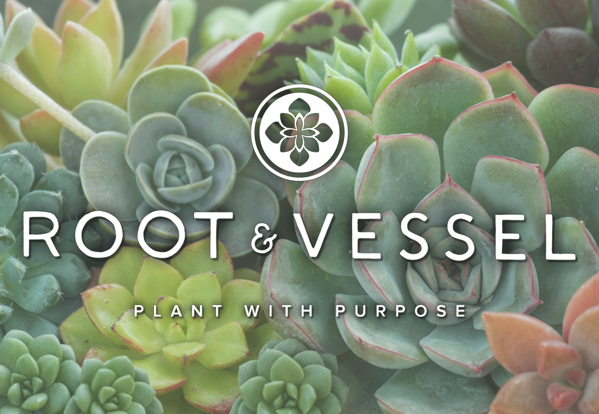 Root & Vessel logo on top of succulents