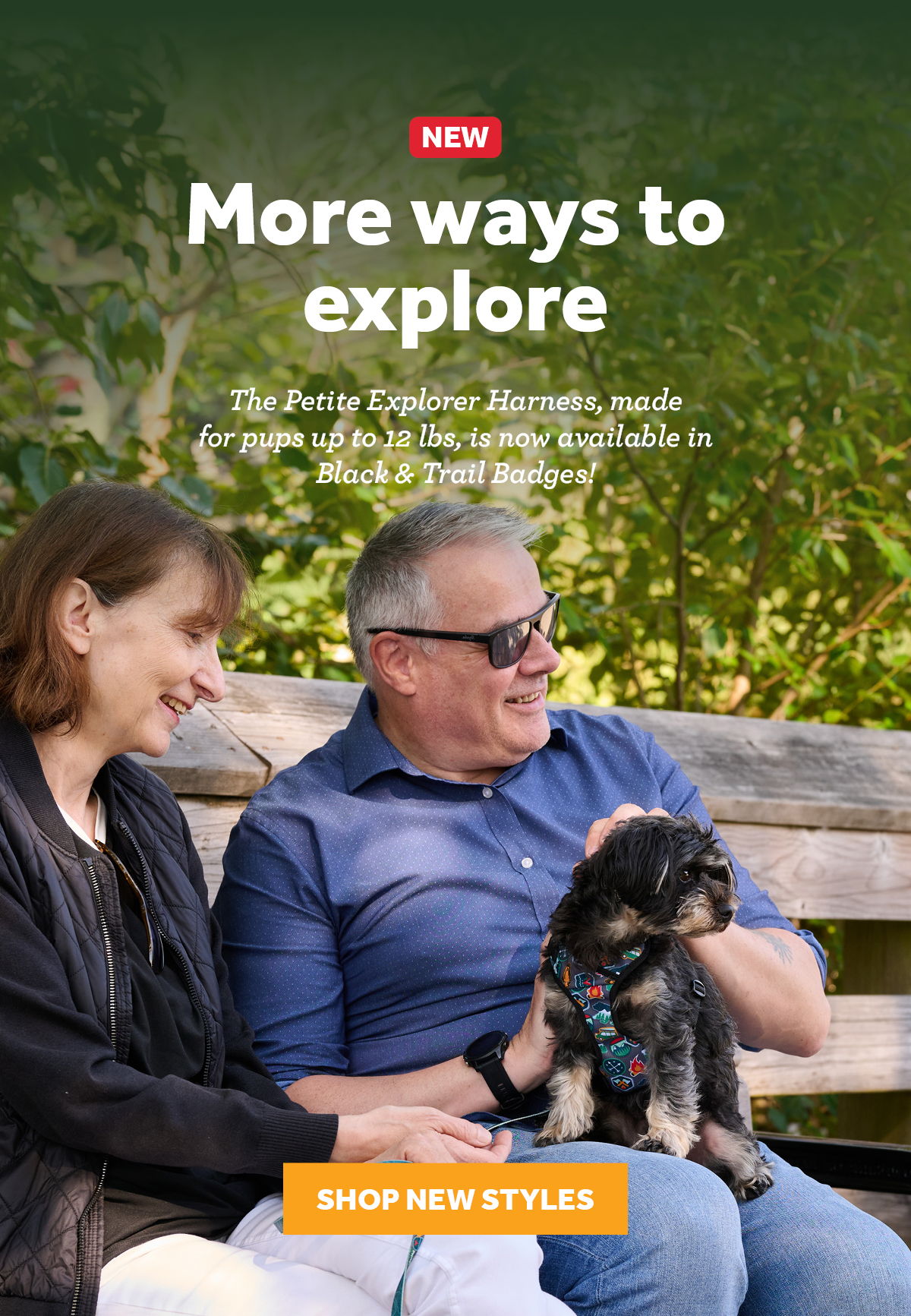 Couple on a bench holding a small dog outdoors.