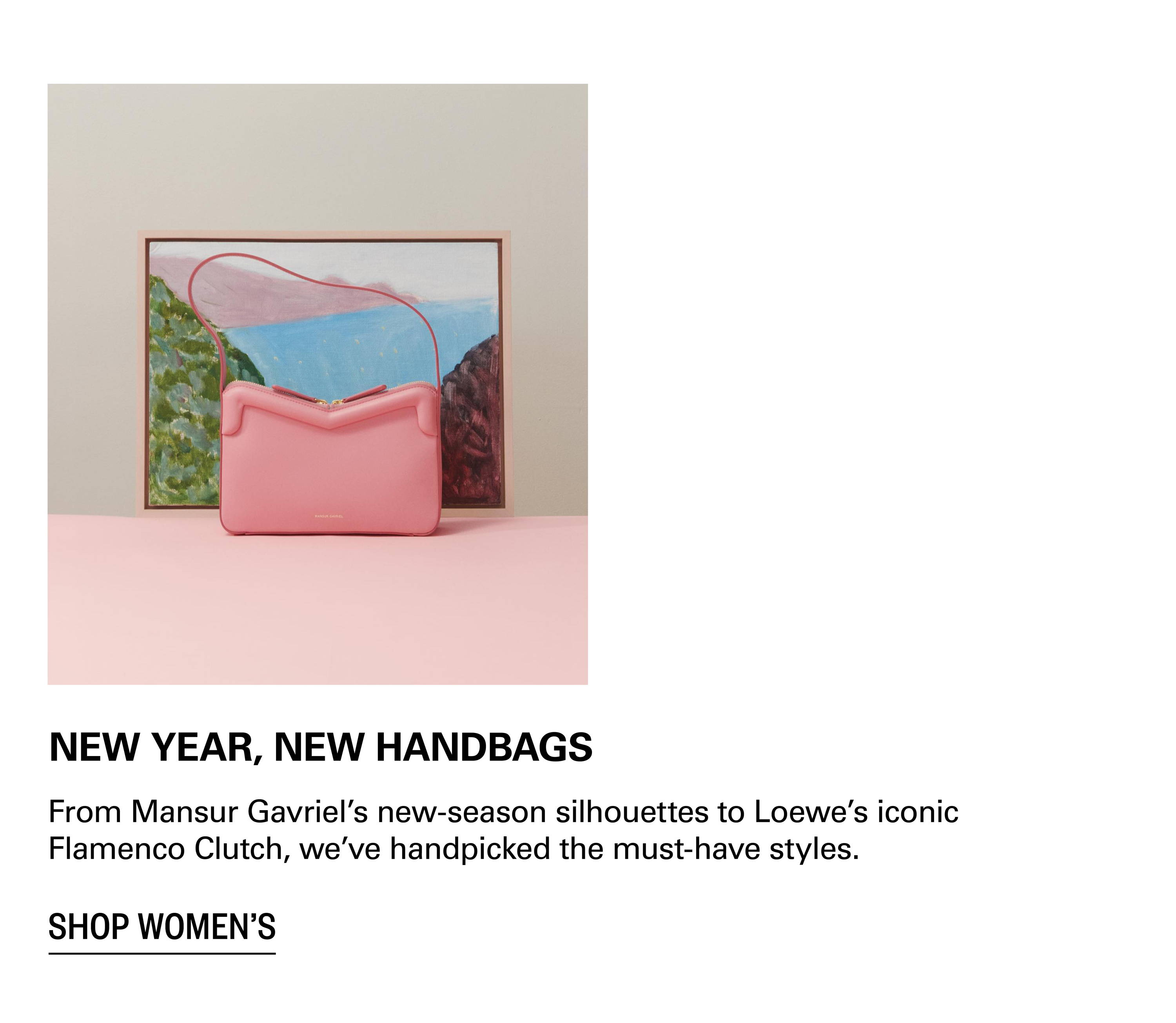Shop Handbags