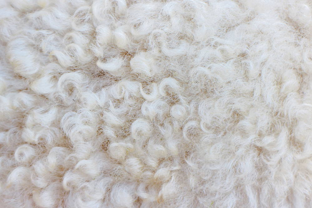 wool texture