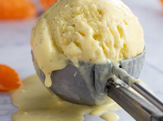 Image of vanilla bean ice cream