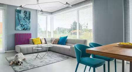 Photo of large modern living space in home with dog