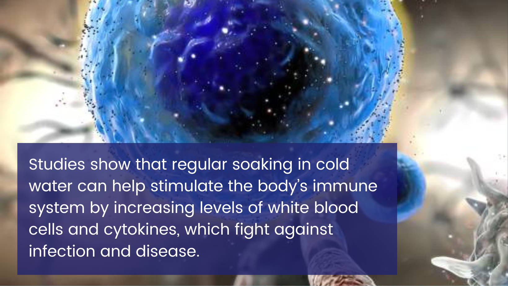 Studies show that regular soaking in cold water can help stimulate the body’s immune system by increasing levels of white blood cells and cytokines, which fight against infection and disease.