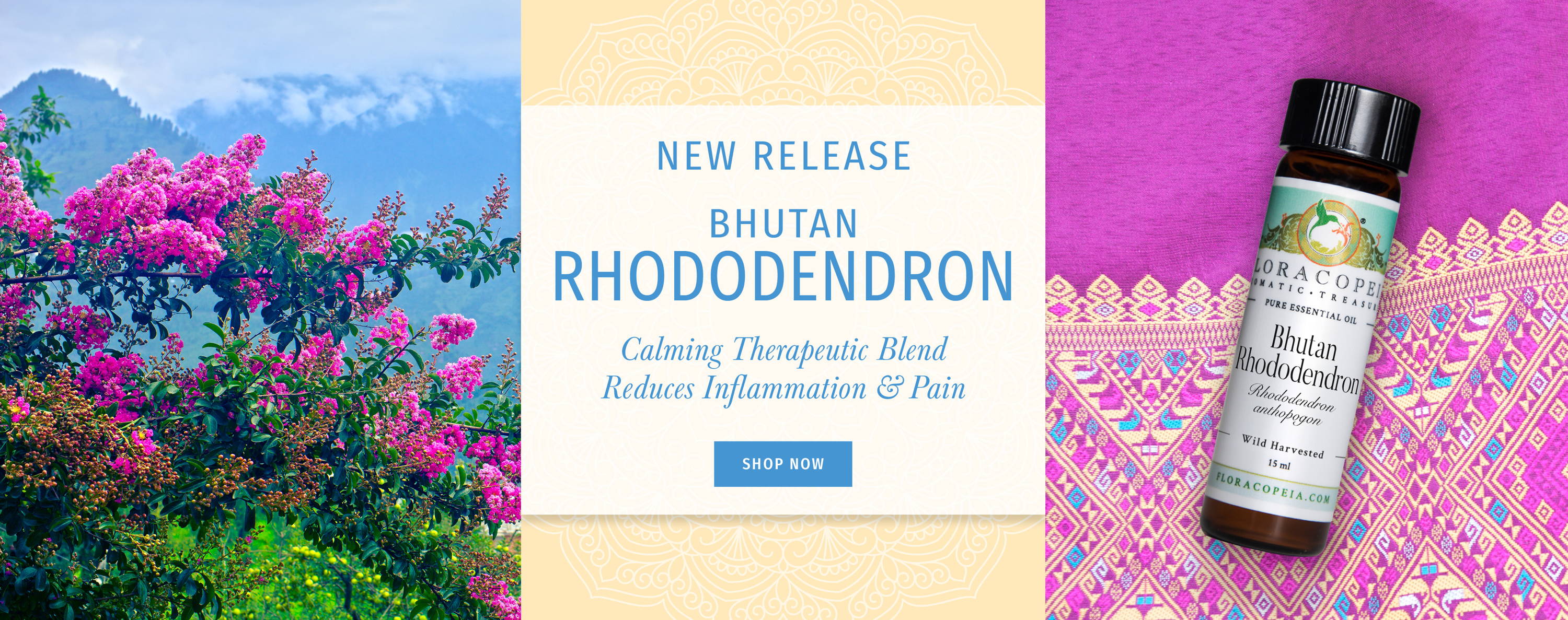 rhododendrons in front of mountains and a bottle of the oil on a pink asian fabric middle reads new release Bhutan Rhododendron calming therapeutic blend reduces inflammation and pain shop now