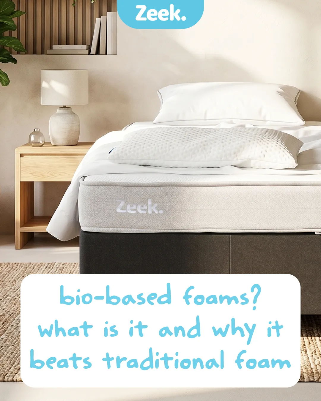 Blog Post 3 - Bio-based foams? What is it and why it beats traditional foam.