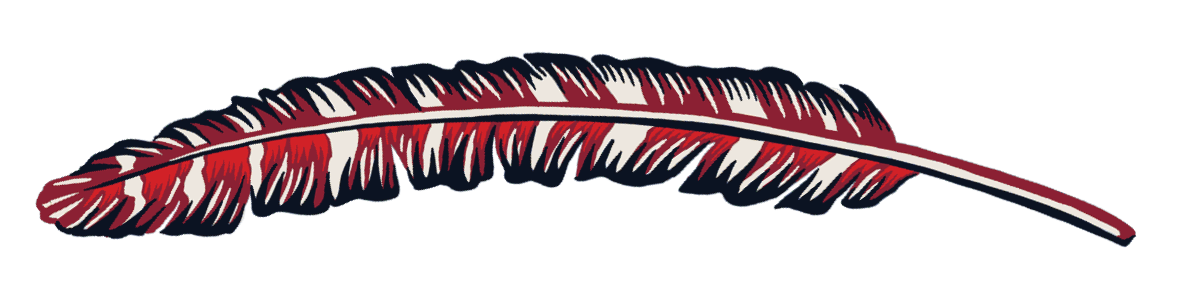 A colorful feather with red, white, and blue markings.