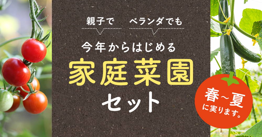 今年から始める家庭菜園セット 親子でチャレンジ ベランダでもokの通販 Greensnap Store グリーンスナップ ストア 観葉植物や多肉植物 花苗の通販