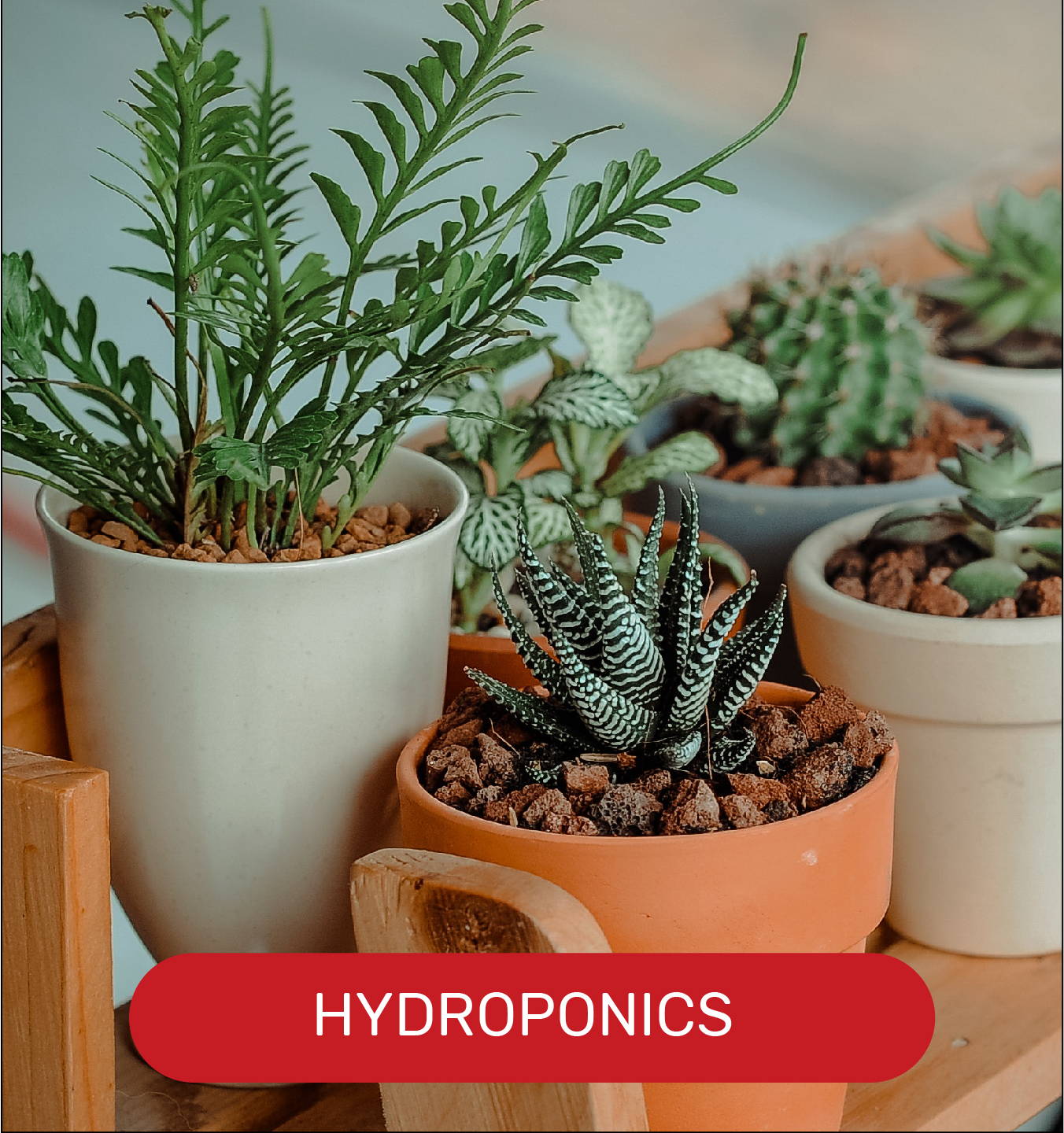 Hydroponics water filtration systems