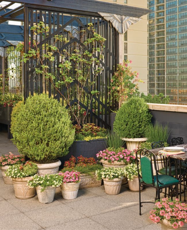 Superbena® Peachy Keen, Supertunia® Bermuda Beach®, Graceful Grasses® Fiber Optic Grass, ColorBlaze® Dipt in Wine - Coleus, Superbells® Yellow Chiffon™, Graceful Grasses® Blue Mohawk®