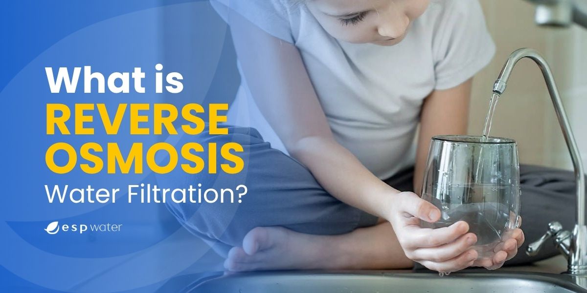 How Reverse Osmosis Water Filters Work & Benefits Explained