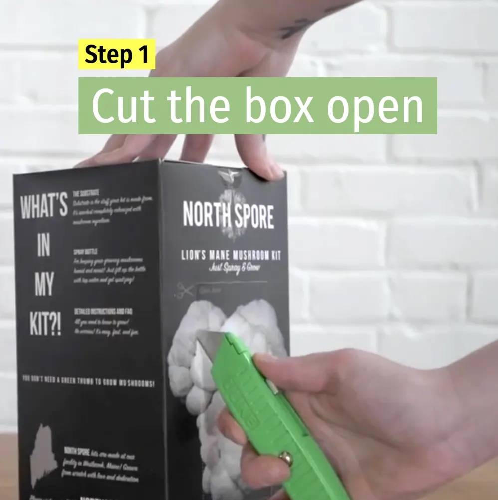 step 1 - cut open the box