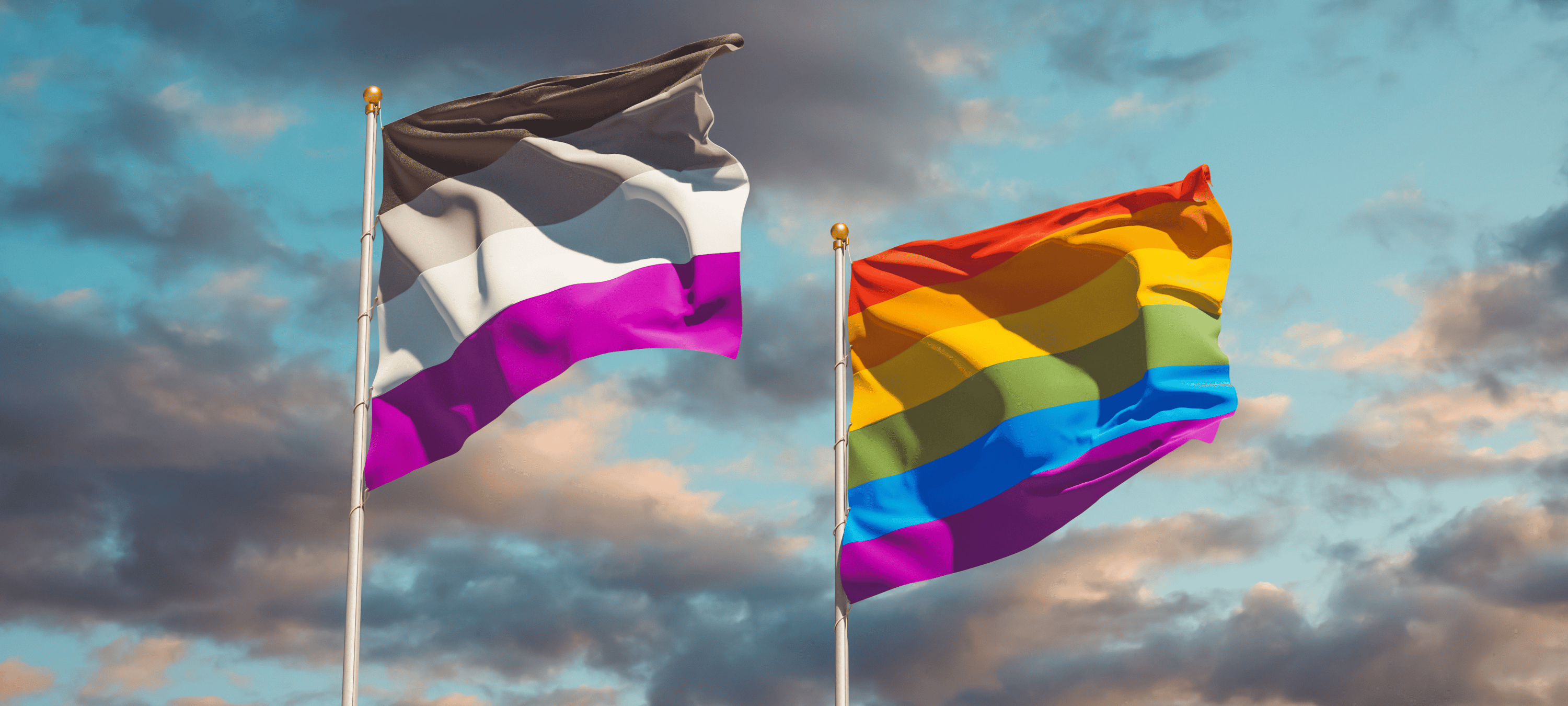 Asexualität und Regenbogen Pride Flaggen