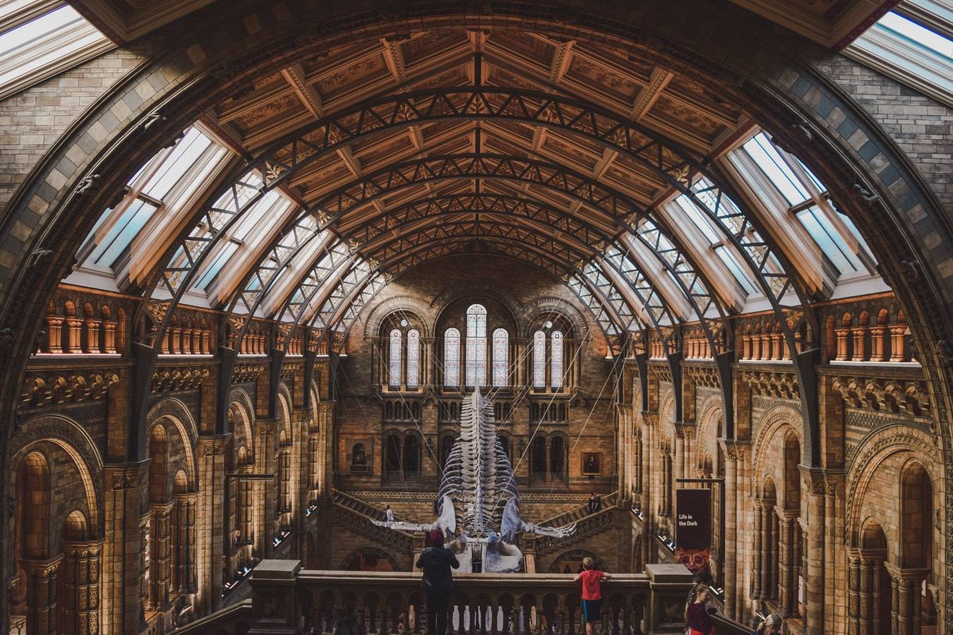 Inside Of The Natural History Museum