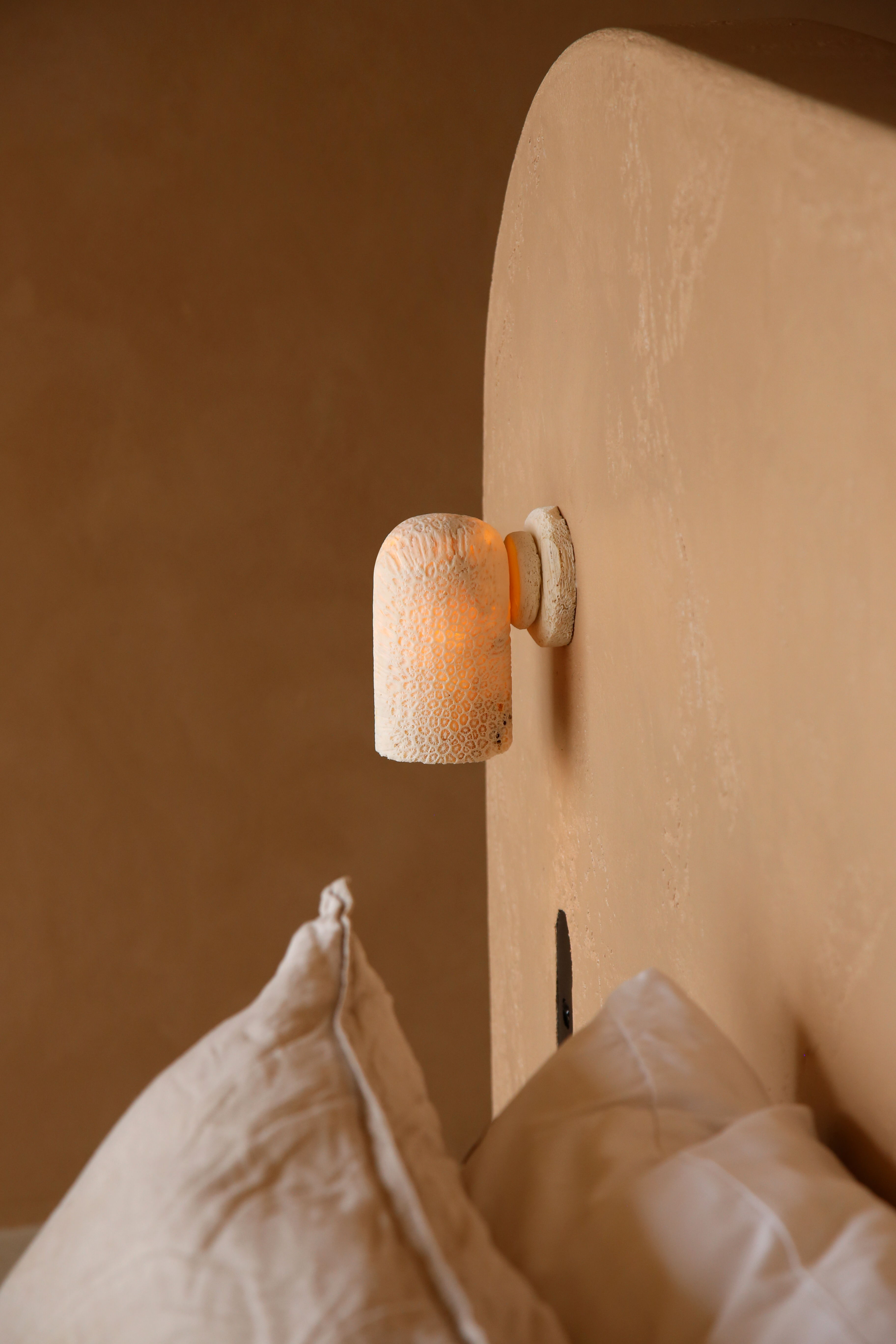 Fossil Coral Dome Wall Light